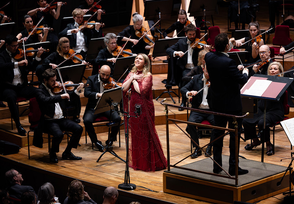 Man spelar cello Fotografi.