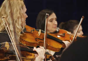 Närbild på violast. Fotografi.