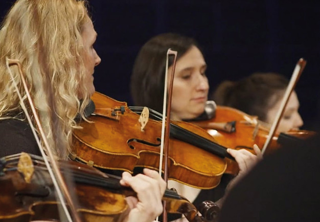 Närbild på violast. Fotografi.