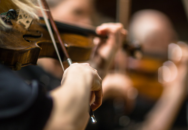 Närbild på fiol med stråke